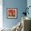 Candy Roses-Peter Graham-Framed Giclee Print displayed on a wall