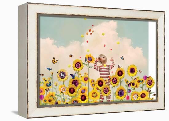 Candyland-Nancy Tillman-Framed Stretched Canvas