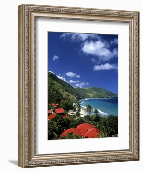 Cane Bay, St,Croix, Us Virgin Islands, Caribbean-Walter Bibikow-Framed Photographic Print