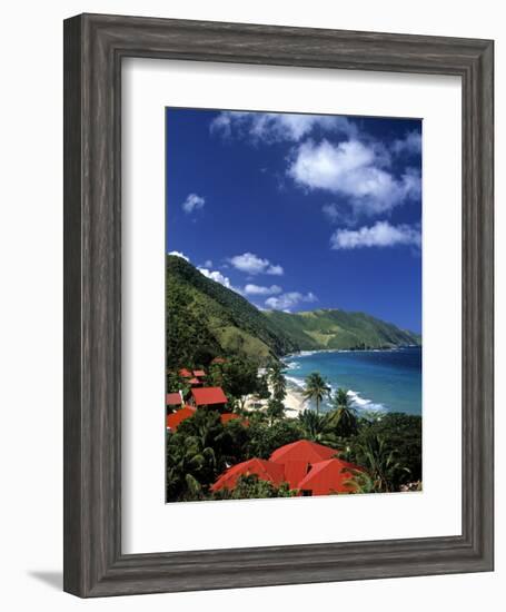 Cane Bay, St,Croix, Us Virgin Islands, Caribbean-Walter Bibikow-Framed Photographic Print