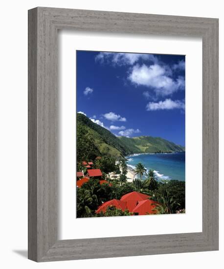 Cane Bay, St,Croix, Us Virgin Islands, Caribbean-Walter Bibikow-Framed Photographic Print