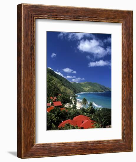 Cane Bay, St,Croix, Us Virgin Islands, Caribbean-Walter Bibikow-Framed Photographic Print