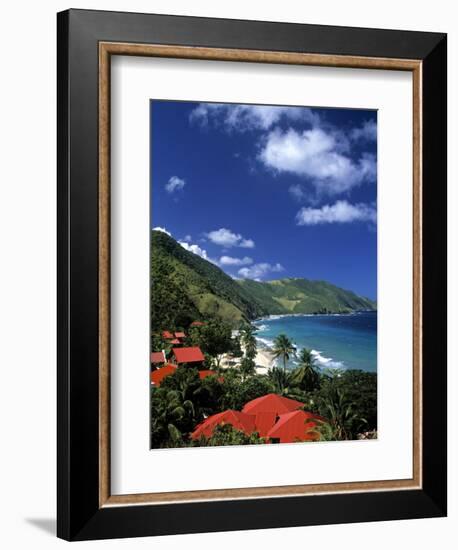 Cane Bay, St,Croix, Us Virgin Islands, Caribbean-Walter Bibikow-Framed Photographic Print