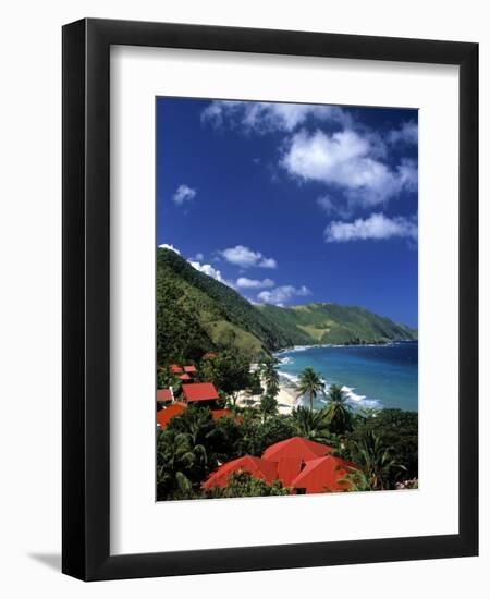 Cane Bay, St,Croix, Us Virgin Islands, Caribbean-Walter Bibikow-Framed Photographic Print