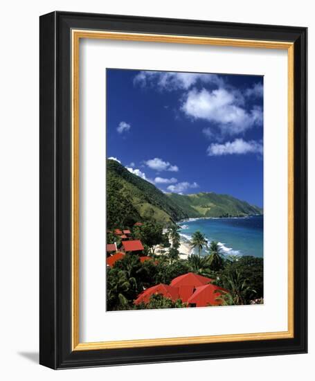 Cane Bay, St,Croix, Us Virgin Islands, Caribbean-Walter Bibikow-Framed Photographic Print