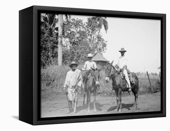 Cane Cutters on a Cuban Sugar Plantation-null-Framed Stretched Canvas