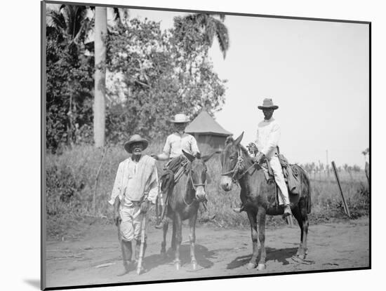 Cane Cutters on a Cuban Sugar Plantation-null-Mounted Photo