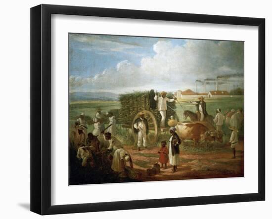 Cane Sugar Harvest in Cuba, 1874-Víctor Patricio Landaluce-Framed Giclee Print