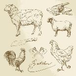 Farm Collection-canicula-Art Print