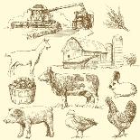 Pork and Beef Cuts - Hand Drawn Set-canicula-Art Print