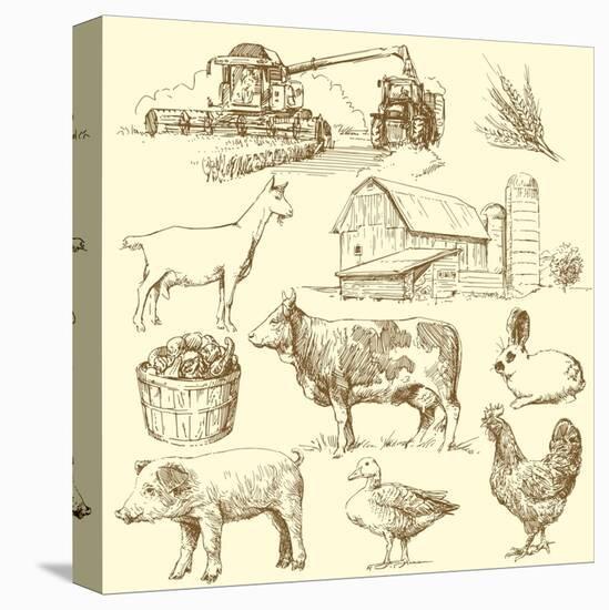 Stretched Canvas Print, , large