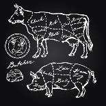 Pork and Beef Cuts - Hand Drawn Set-canicula-Art Print