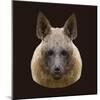 Canine Beast of Pray, Hyena, Low Poly Vector Portrait Illustration-Jan Fidler-Mounted Photographic Print