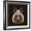 Canine Beast of Pray, Hyena, Low Poly Vector Portrait Illustration-Jan Fidler-Framed Photographic Print