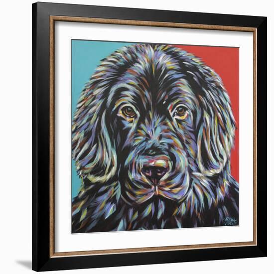 Canine Buddy I-Carolee Vitaletti-Framed Art Print