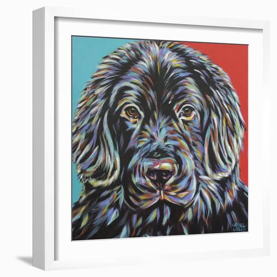 Canine Buddy I-Carolee Vitaletti-Framed Art Print