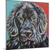 Canine Buddy I-Carolee Vitaletti-Mounted Art Print