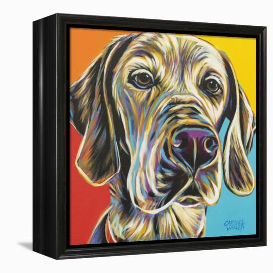 Canine Buddy II-Carolee Vitaletti-Framed Stretched Canvas