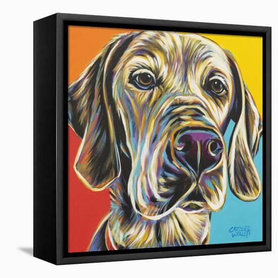 Canine Buddy II-Carolee Vitaletti-Framed Stretched Canvas