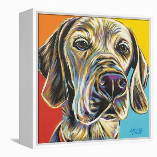 Canine Buddy II-Carolee Vitaletti-Framed Stretched Canvas