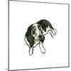 Canine Cameo IV-June Vess-Mounted Art Print