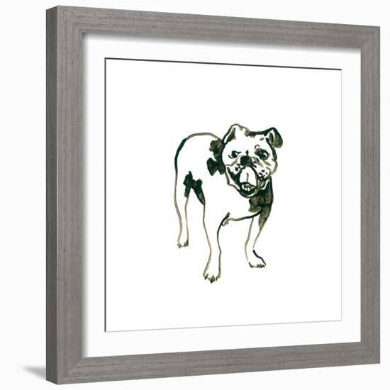 Canine Cameo VIII-June Vess-Framed Art Print