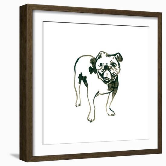 Canine Cameo VIII-June Vess-Framed Art Print