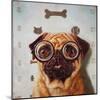 Canine Eye Exam-Lucia Heffernan-Mounted Art Print