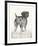 Canine - Gaze-Hilary Armstrong-Framed Limited Edition