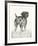 Canine - Gaze-Hilary Armstrong-Framed Limited Edition