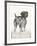 Canine - Gaze-Hilary Armstrong-Framed Limited Edition