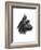 Canine Study II-Ethan Harper-Framed Art Print