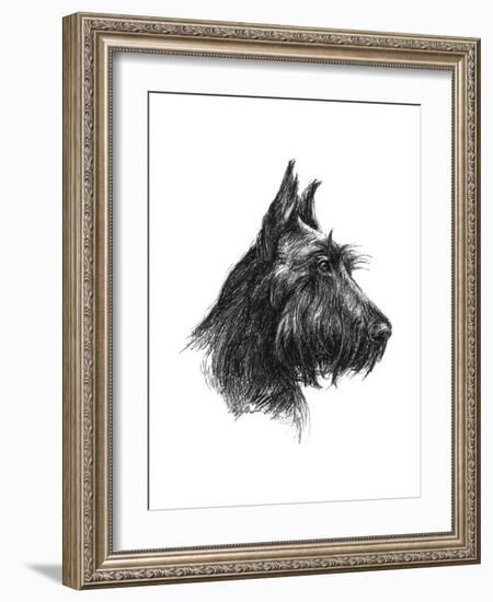 Canine Study II-Ethan Harper-Framed Art Print