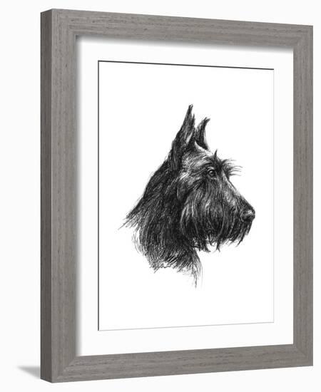 Canine Study II-Ethan Harper-Framed Art Print