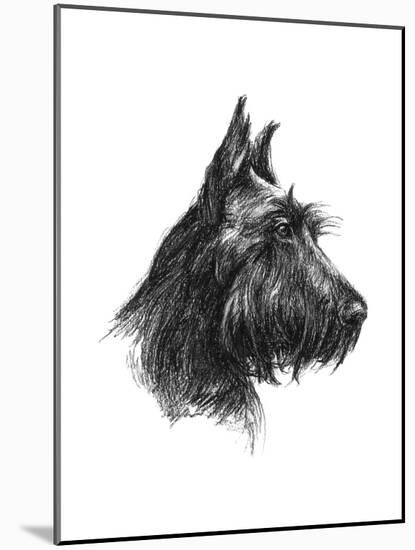 Canine Study II-Ethan Harper-Mounted Art Print