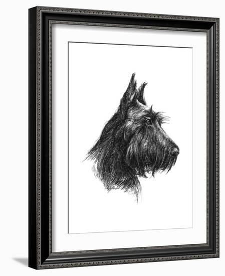 Canine Study II-Ethan Harper-Framed Art Print