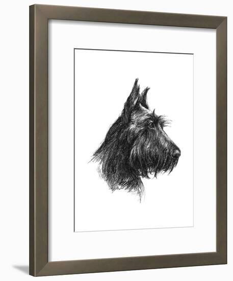 Canine Study II-Ethan Harper-Framed Art Print