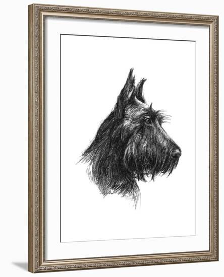 Canine Study II-Ethan Harper-Framed Art Print