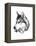 Canine Study III-Ethan Harper-Framed Stretched Canvas