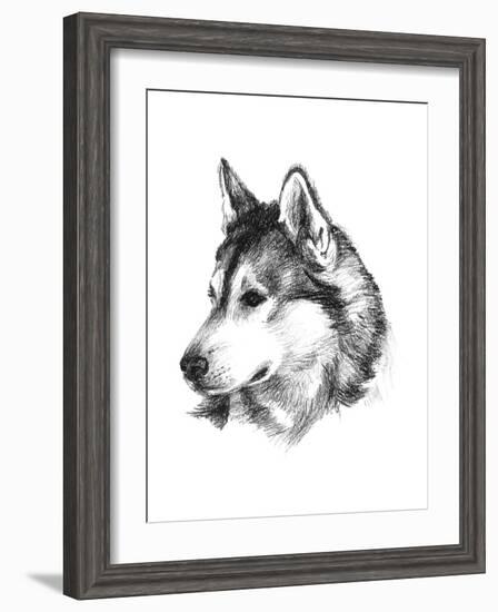 Canine Study III-Ethan Harper-Framed Art Print