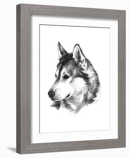 Canine Study III-Ethan Harper-Framed Art Print