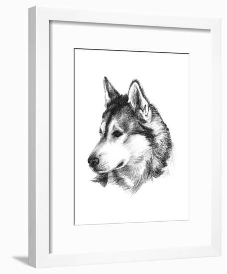 Canine Study III-Ethan Harper-Framed Art Print