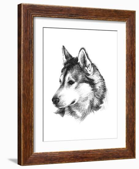 Canine Study III-Ethan Harper-Framed Art Print