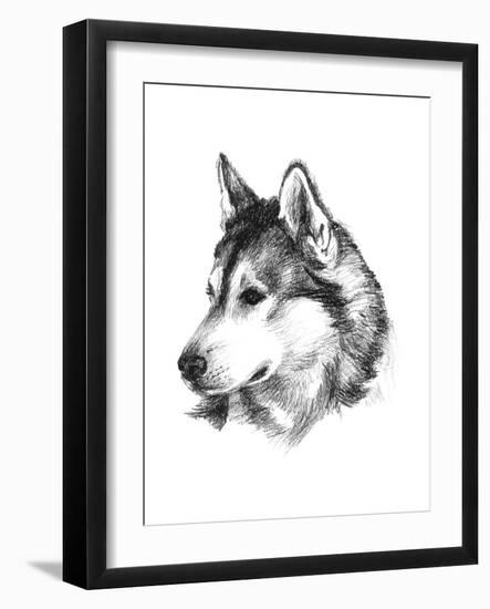 Canine Study III-Ethan Harper-Framed Art Print