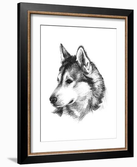 Canine Study III-Ethan Harper-Framed Art Print