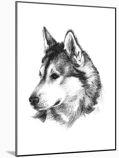Canine Study III-Ethan Harper-Mounted Art Print