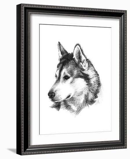 Canine Study III-Ethan Harper-Framed Art Print