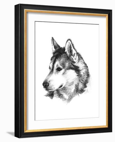 Canine Study III-Ethan Harper-Framed Art Print