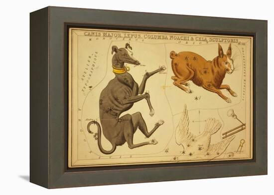 Canis Major and Lepus Constellations, 1825-Science Source-Framed Premier Image Canvas