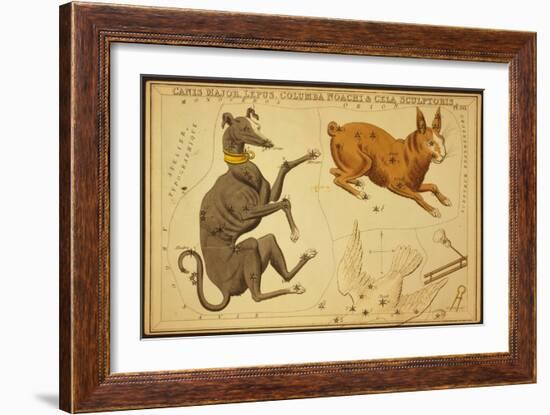 Canis Major and Lepus Constellations, 1825-Science Source-Framed Giclee Print